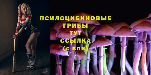 круглые Рославль
