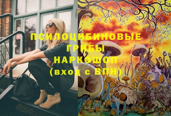 ГАЛЛЮЦИНОГЕННЫЕ ГРИБЫ Арсеньев