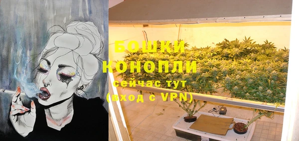 индика Ростов