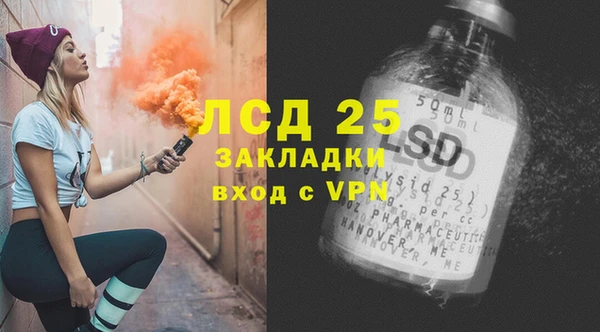 ГАЛЛЮЦИНОГЕННЫЕ ГРИБЫ Арсеньев