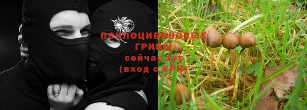MDMA Premium VHQ Аркадак